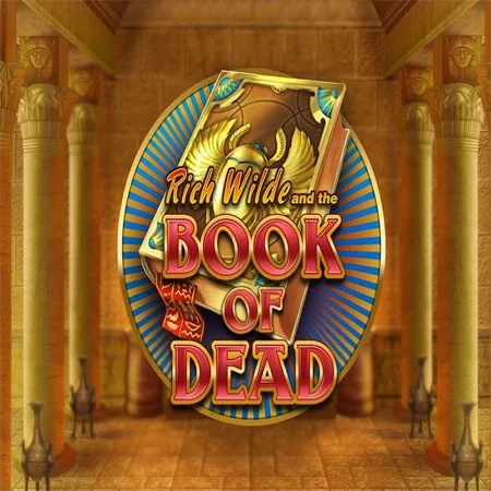 Leon Bet Brazil Slots - Book of Dead