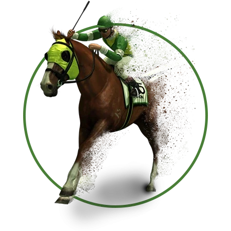 Leon Bet Brazil Virtual Sports Betting - Virtual Horse Racing